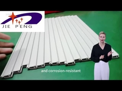 Externe PP-profiel PP-extrusieprofiel Decoratieve deuronderdichtband